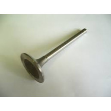  КЛАПАН ВПУСКНОЙ ДВ. 491QE GW DEER, SAFE     1007016-E00